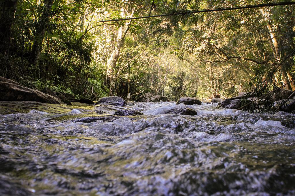 Pousada Riacho Da Serra Penedo  Exteriör bild